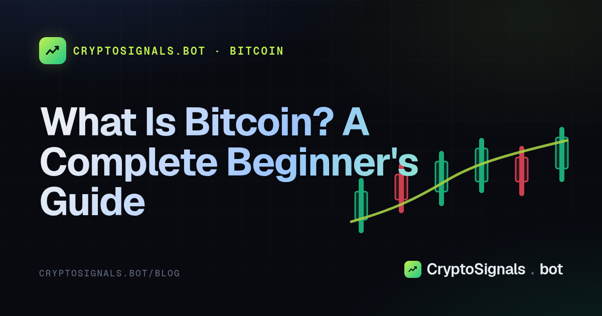 What Is Bitcoin? A Complete Beginner's Guide