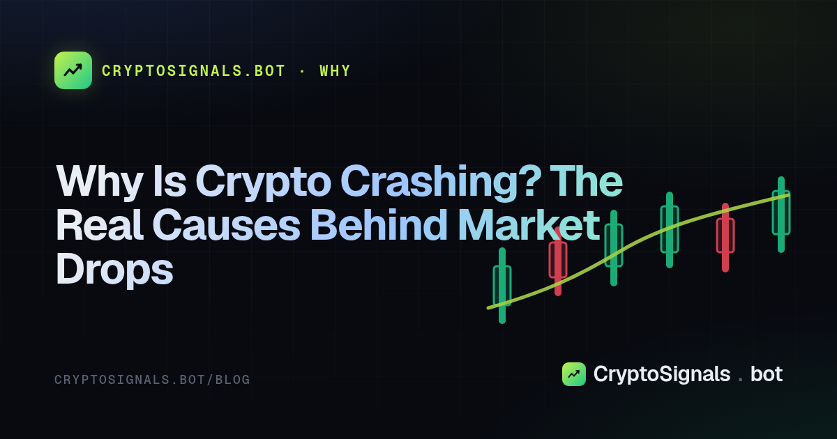 Why Is Crypto Crashing? The Real Causes Behind Market Drops