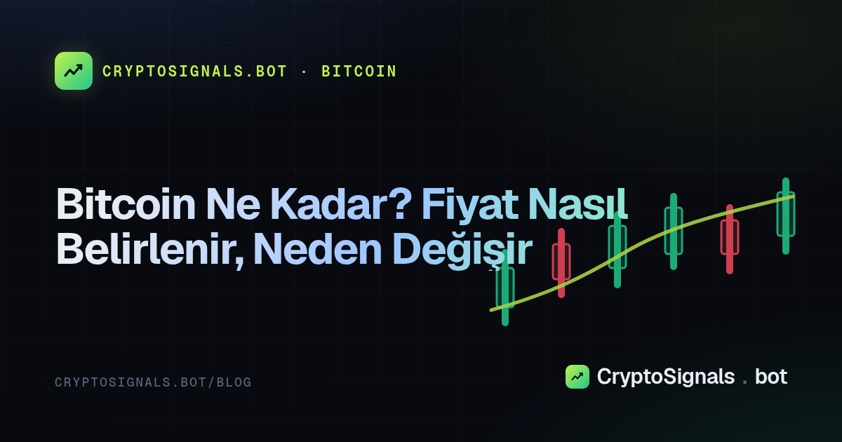 Bitcoin Ne Kadar? Fiyat Nasıl Belirlenir, Neden Değişir