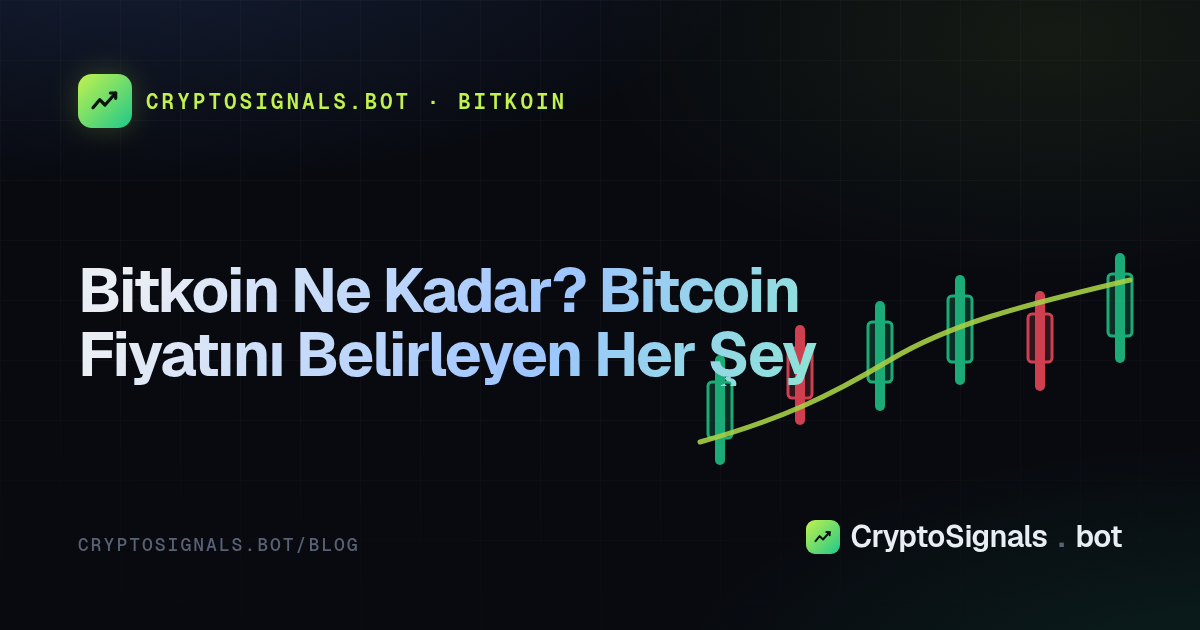 Bitkoin Ne Kadar? Bitcoin Fiyatını Belirleyen Her Şey