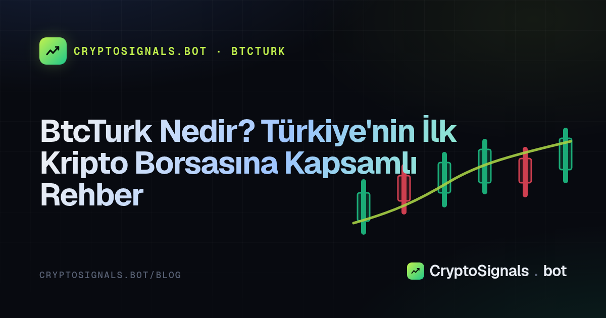 BtcTurk Nedir? Türkiye'nin İlk Kripto Borsasına Kapsamlı Rehber