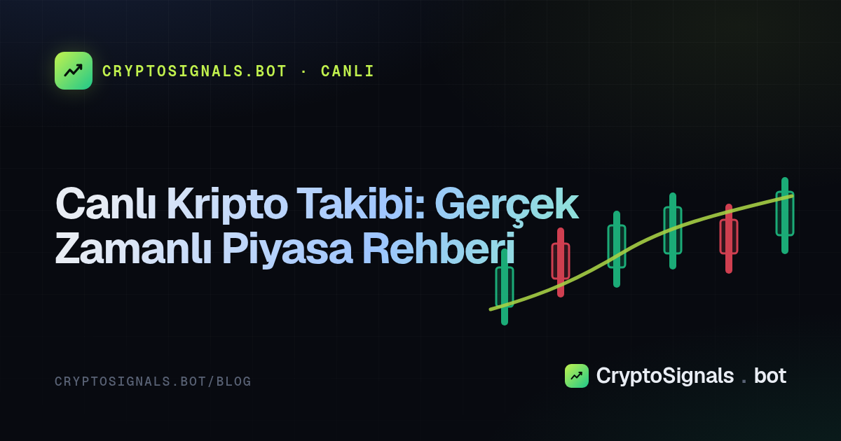 Canlı Kripto Takibi: Gerçek Zamanlı Piyasa Rehberi